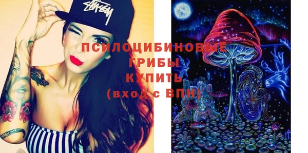 спиды Бородино