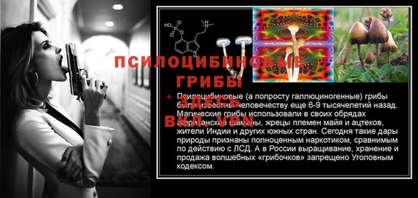 синтетический гашиш Верхний Тагил