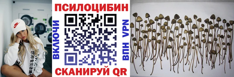 Галлюциногенные грибы Magic Shrooms  Нижневартовск 